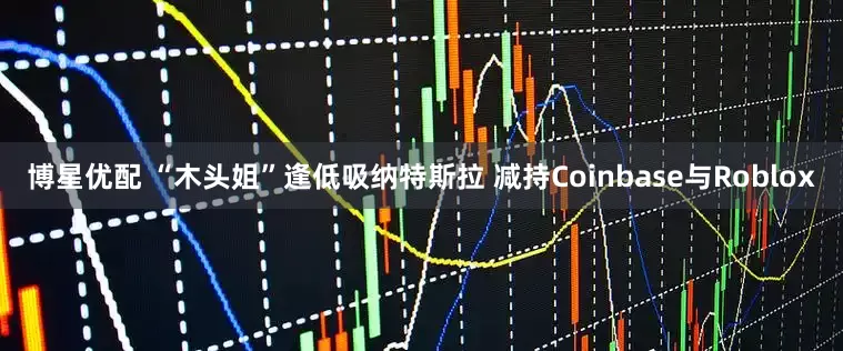 博星优配 “木头姐”逢低吸纳特斯拉 减持Coinbase与Roblox