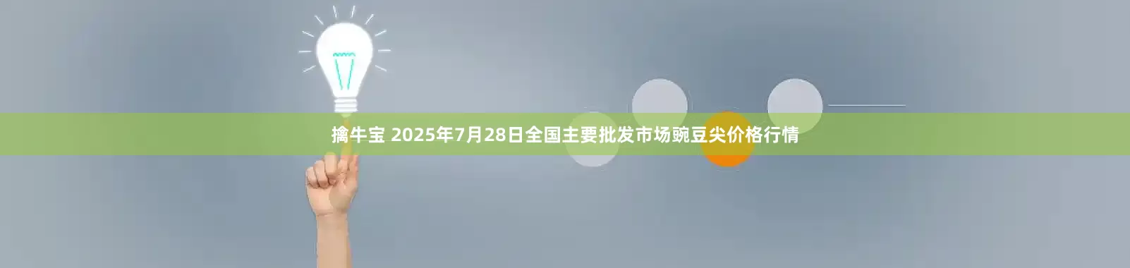 擒牛宝 2025年7月28日全国主要批发市场豌豆尖价格行情